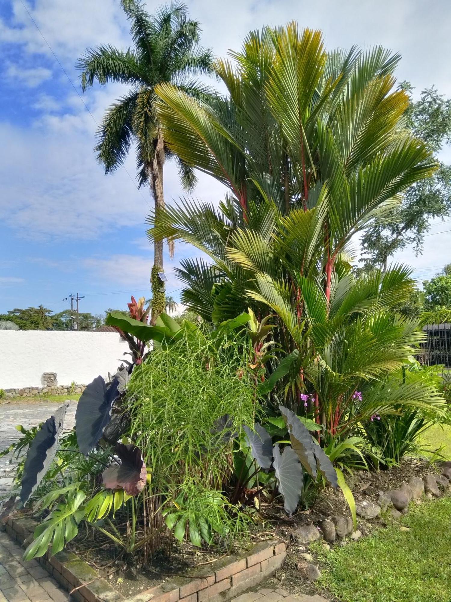 Doral House Villavicencio Bavaria Εξωτερικό φωτογραφία